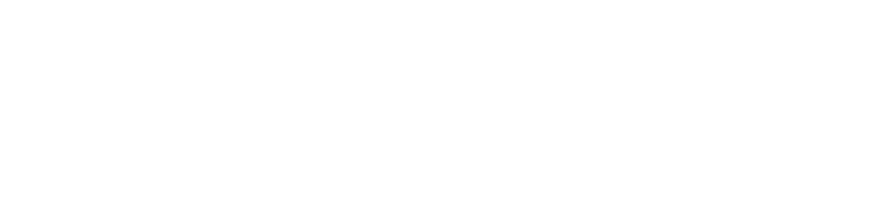 Mindset Fitness